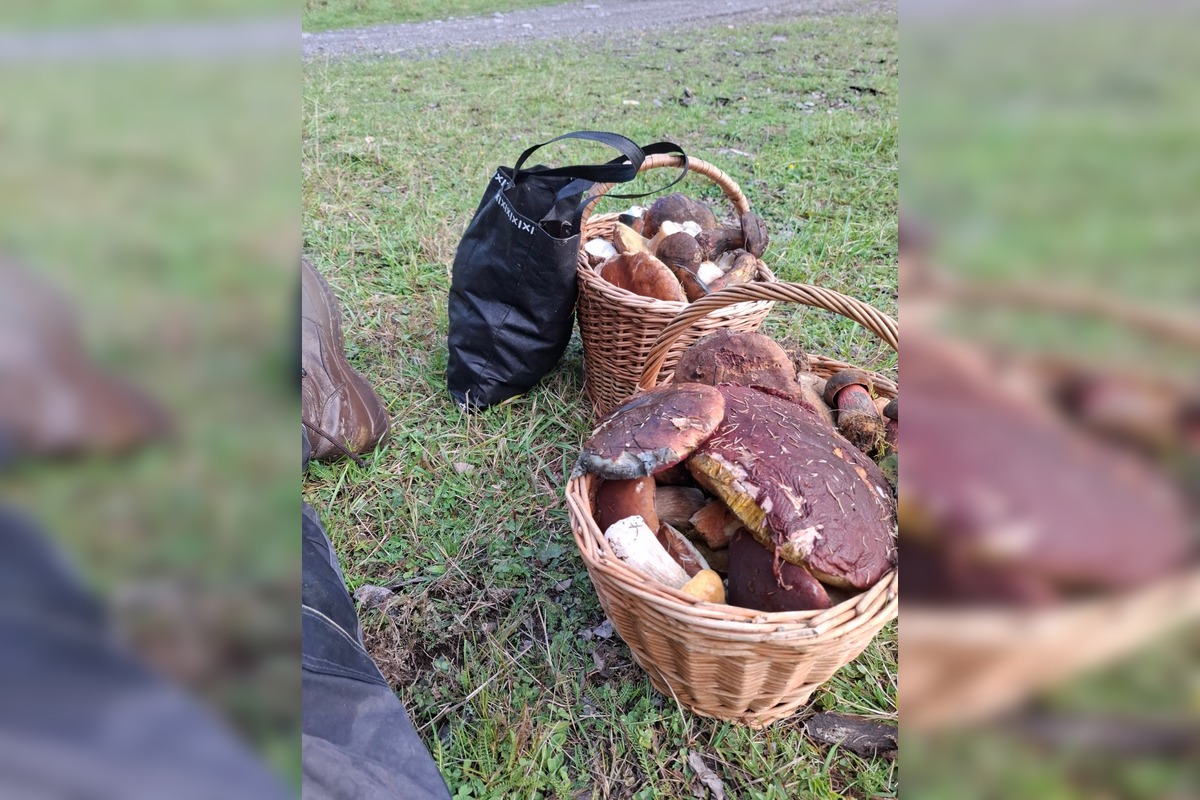 FOTO: Hubárska diagnóza zasiahla východ. Dubáky, smiech aj plné košíky, foto 6