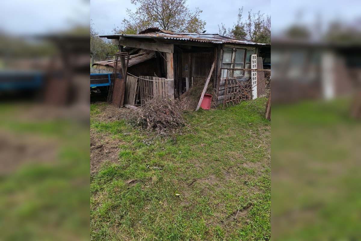 FOTO: Regionálna veterinárna správa zasahovala v Nitrianskom Pravne, kôň bol bez vody aj pohybu, foto 2