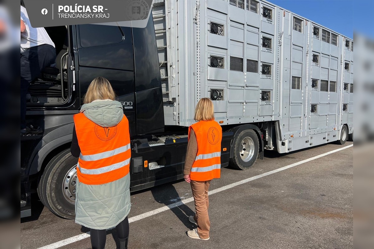 FOTO: Polícia zablokovala odpočívadlo na D1 v Hrádku, prebiehala tam rozsiahla dopravná kontrola s dronom, foto 6