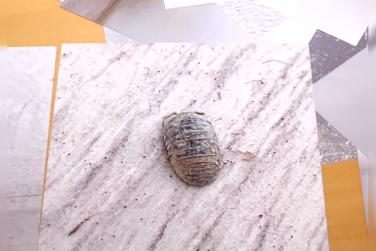 FOTO: Rodina z považskej Bystrice kúpila dom plný skrytých závad , foto 2