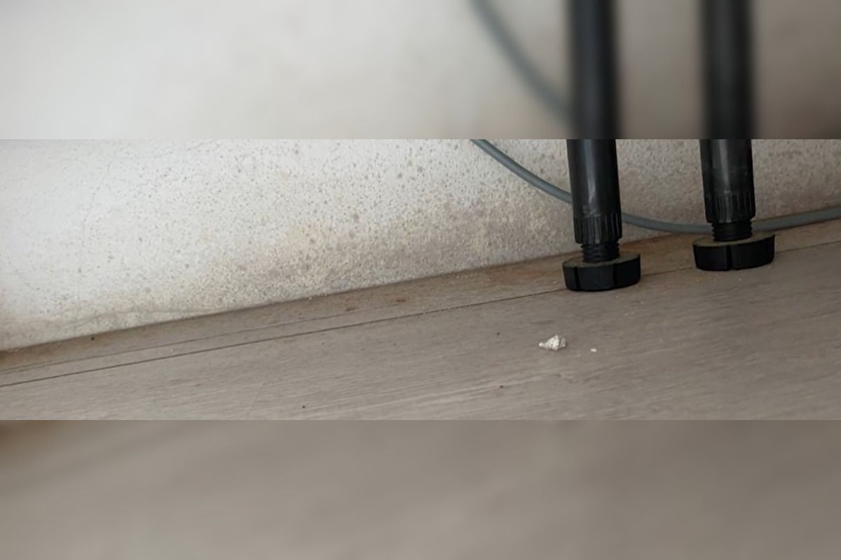 FOTO: Rodina z považskej Bystrice kúpila dom plný skrytých závad , foto 3