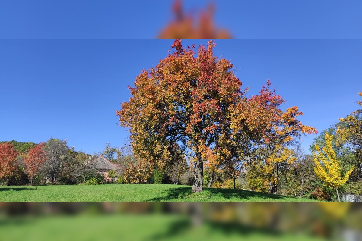 FOTO: Bratia Struhárovci menia Bošácku dolinu na raj pre turistov, vyznačili a držiavajú desiatky kilometrov trás, foto 3