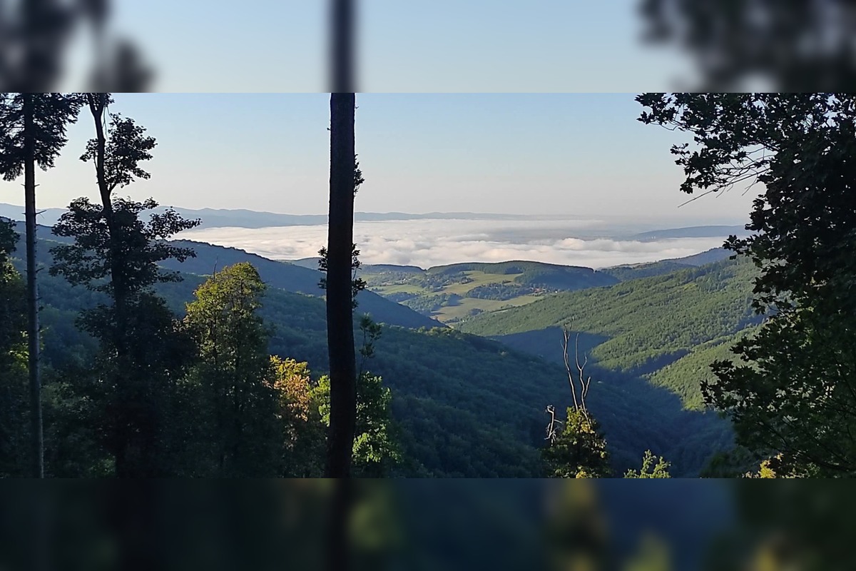 FOTO: Bratia Struhárovci menia Bošácku dolinu na raj pre turistov, vyznačili a držiavajú desiatky kilometrov trás, foto 6