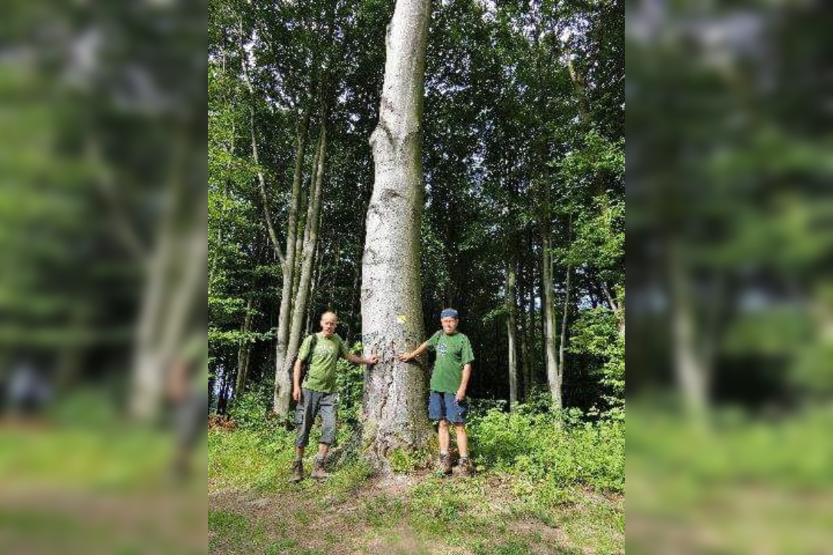 FOTO: Bratia Struhárovci menia Bošácku dolinu na raj pre turistov, vyznačili a držiavajú desiatky kilometrov trás, foto 8