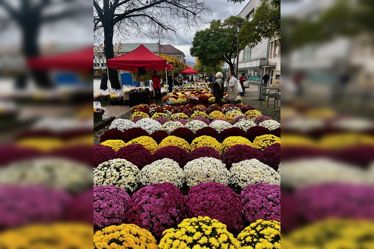 FOTO: Ekologické Dušičky: Mestá v Trenčianskom kraji nabádajú k šetrnej výzdobe hrobov, foto 4