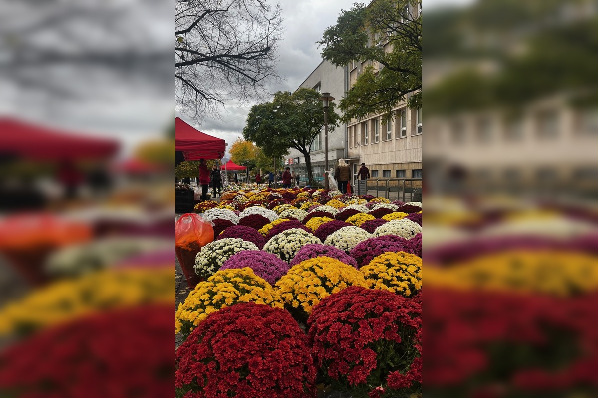 FOTO: Ekologické Dušičky: Mestá v Trenčianskom kraji nabádajú k šetrnej výzdobe hrobov, foto 5