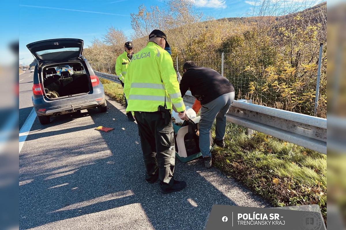FOTO: Na diaľnici pri Beckove sa prechádzala labuť, policajti museli riadiť premávku, foto 3