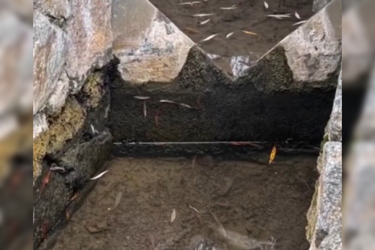 FOTO: Bojnické kúpele prichádzajú o vodu, hrozí im zánik existencie , foto 1