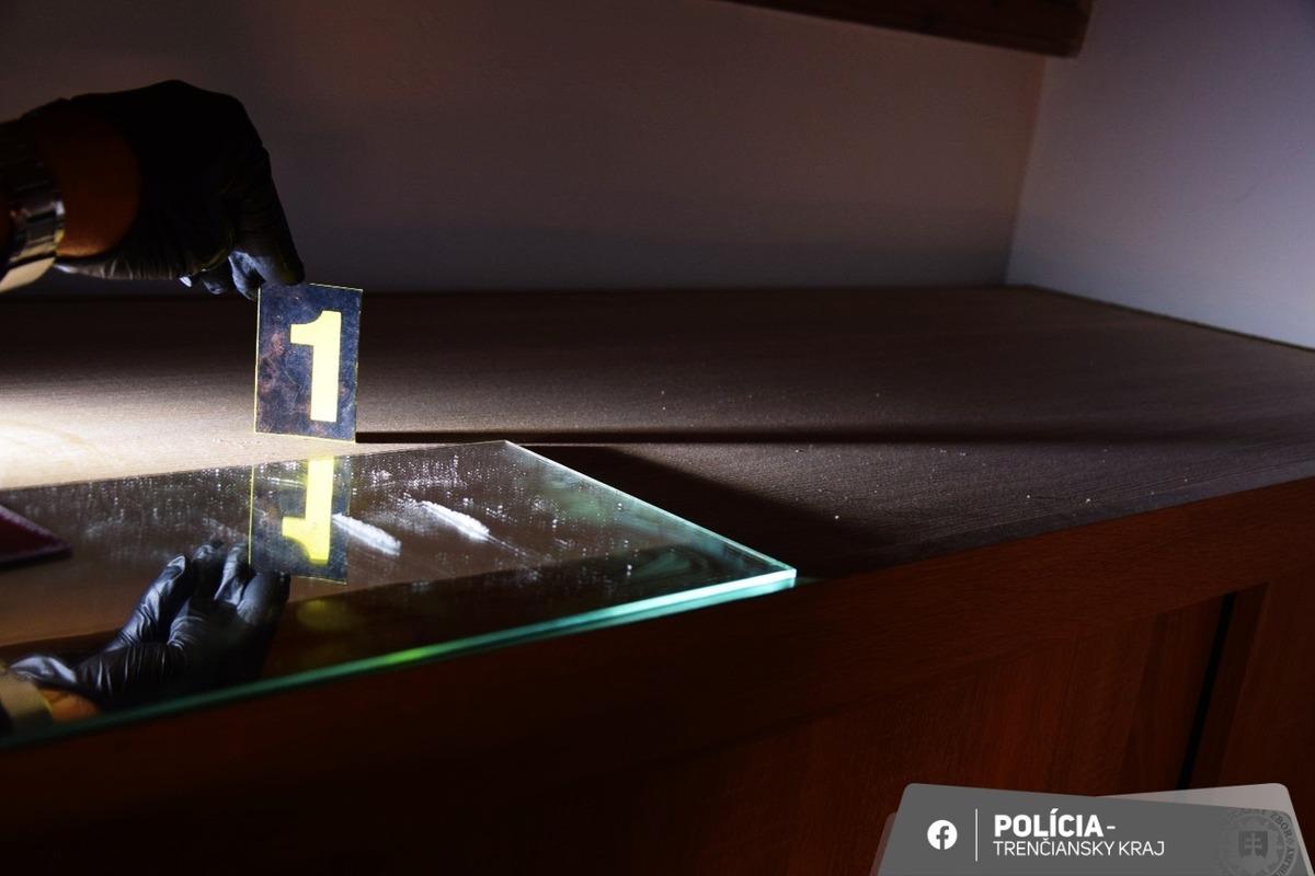 FOTO: Polícia v Novom Meste nad Váhom zadržala muža podozrivého z distribúcie drog, hrozí mu 15 rokov väzenia, foto 2