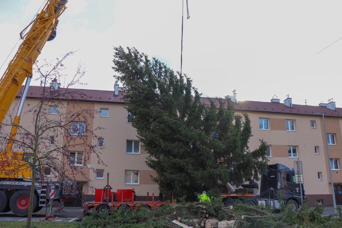 FOTO: V Dubnici nad Váhom už stojí vianočný strom. Tento rok prinesie aj živý vyrezávaný Betlehem, foto 1