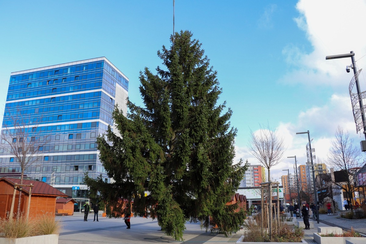 FOTO: V Dubnici nad Váhom už stojí vianočný strom. Tento rok prinesie aj živý vyrezávaný Betlehem, foto 2