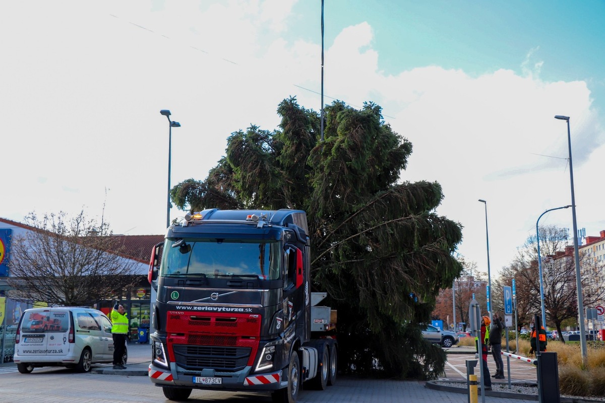 FOTO: V Dubnici nad Váhom už stojí vianočný strom. Tento rok prinesie aj živý vyrezávaný Betlehem, foto 3