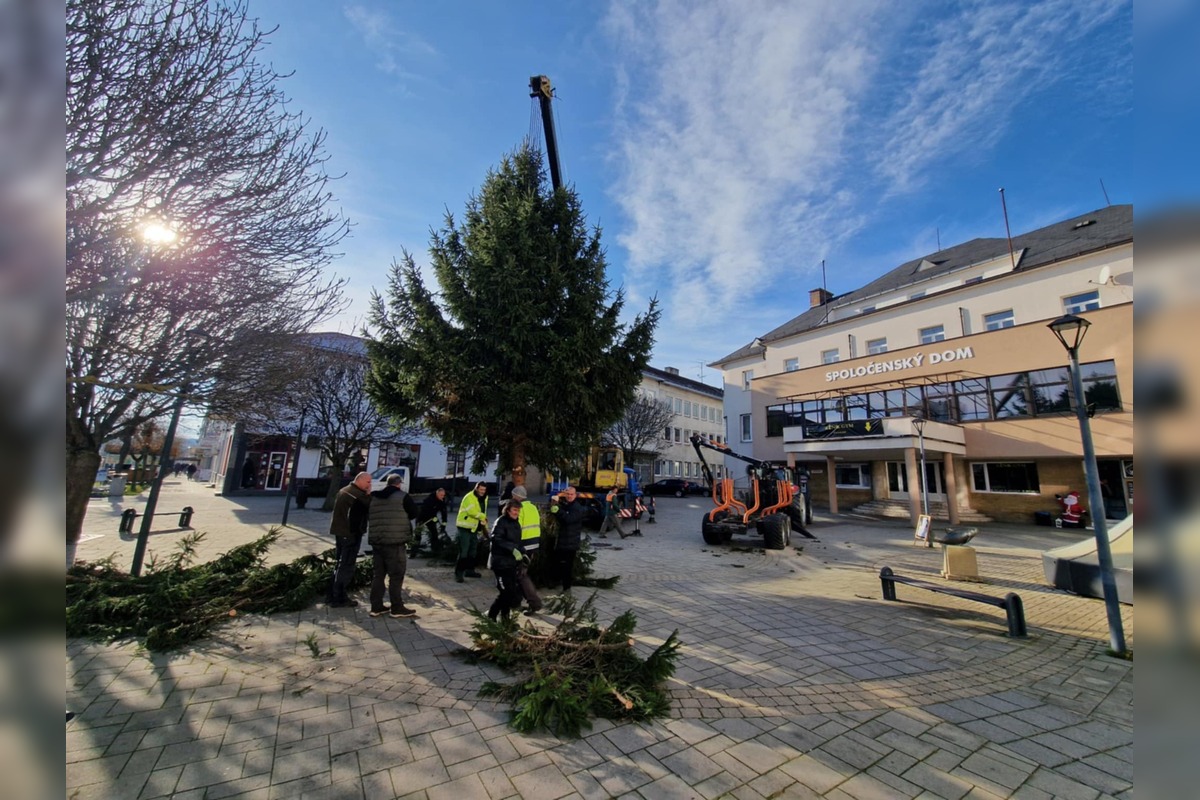 FOTO: Na myjavskom námestí začali osádzať vianočné stromčeky, advent odštartuje Mikuláš, foto 5