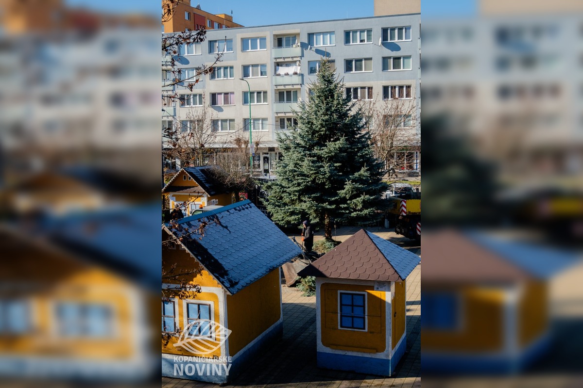 FOTO: Na myjavskom námestí začali osádzať vianočné stromčeky, advent odštartuje Mikuláš, foto 4