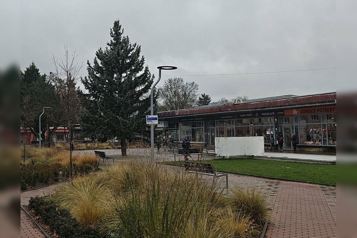 FOTO: Mierové námestie v Trenčíne už má nový 14-metrový vianočný strom, pribudol aj pri Rozkvete, foto 1