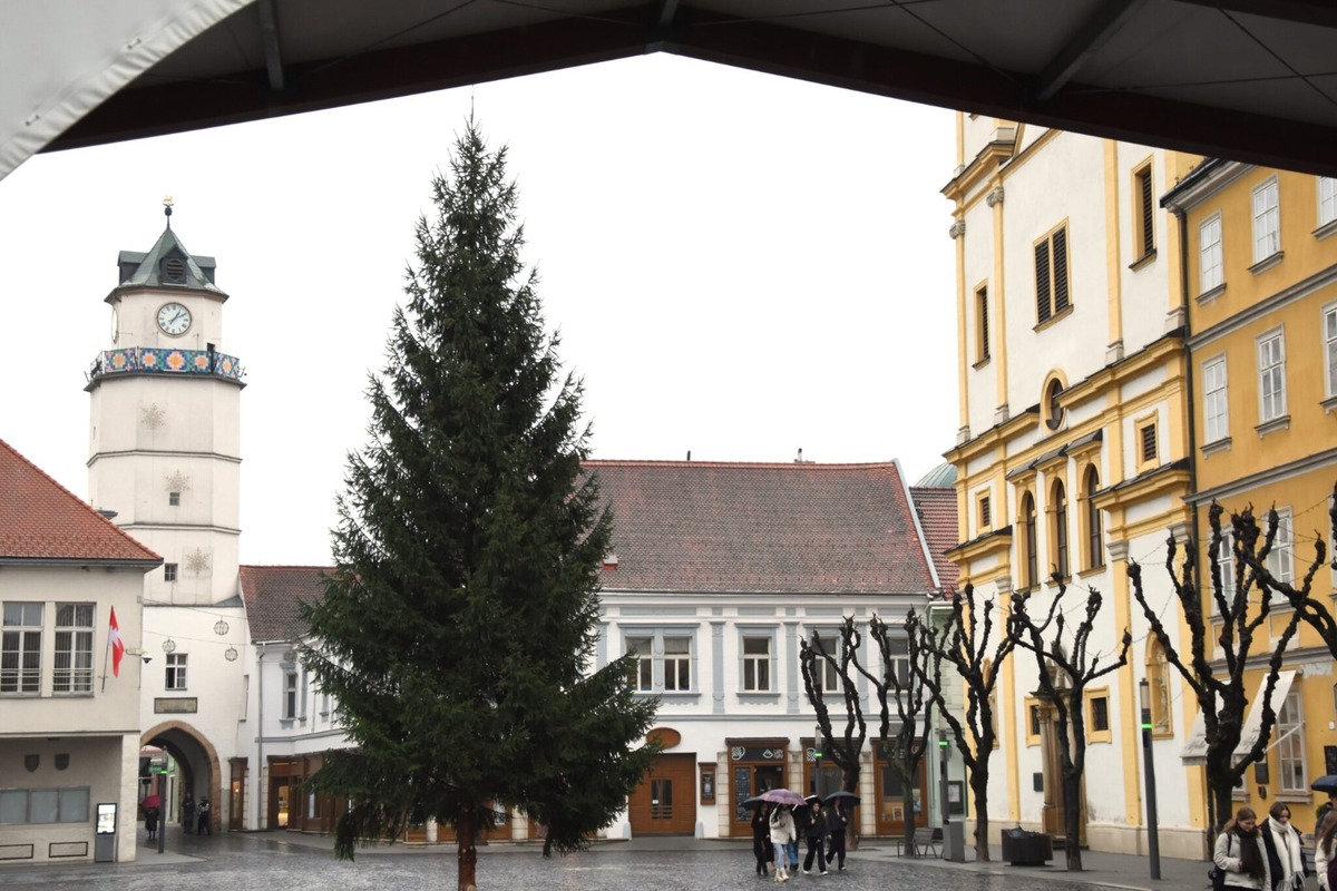 FOTO: Mierové námestie v Trenčíne už má nový 14-metrový vianočný strom, pribudol aj pri Rozkvete, foto 2