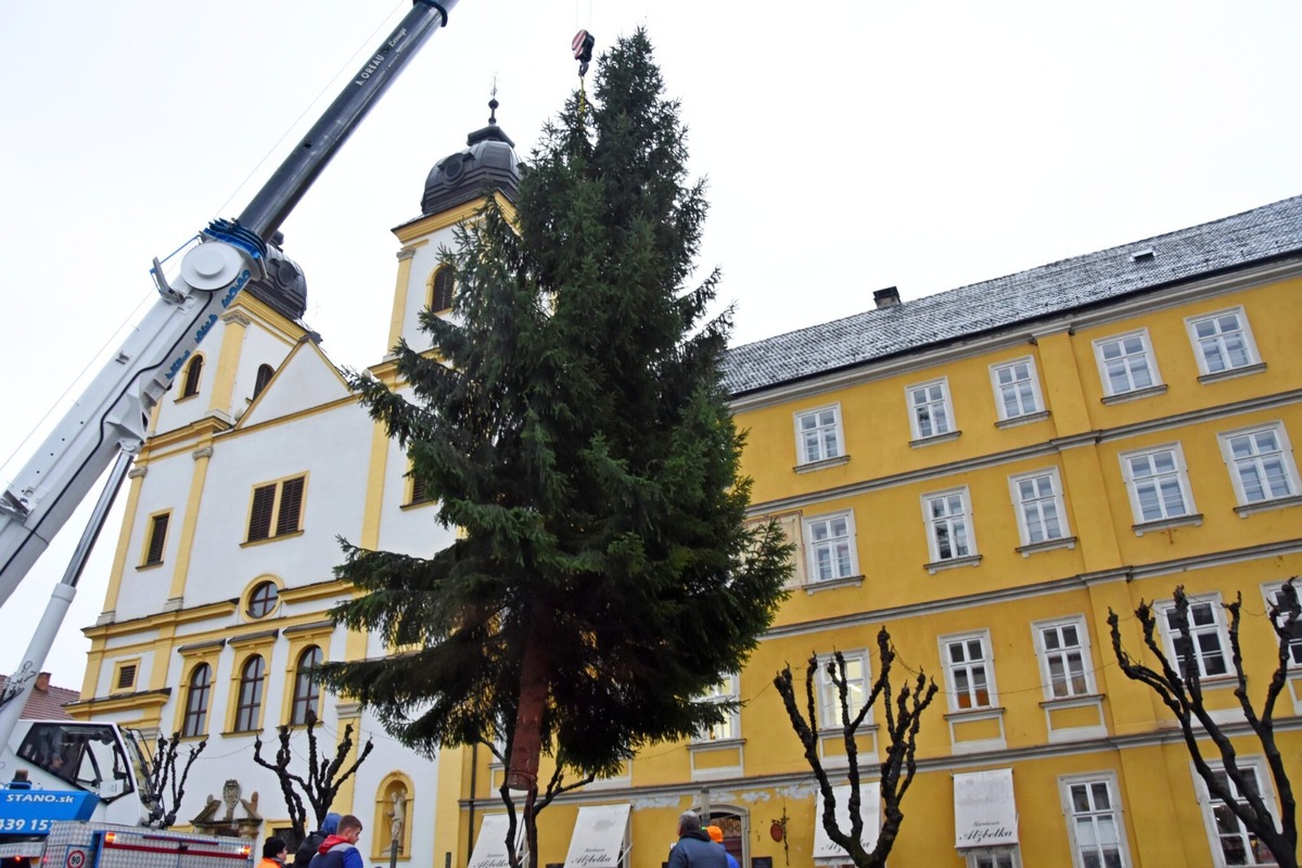 FOTO: Mierové námestie v Trenčíne už má nový 14-metrový vianočný strom, pribudol aj pri Rozkvete, foto 4