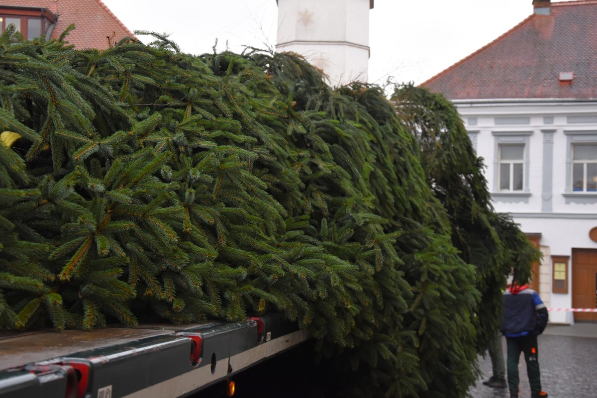 FOTO: Mierové námestie v Trenčíne už má nový 14-metrový vianočný strom, pribudol aj pri Rozkvete, foto 7