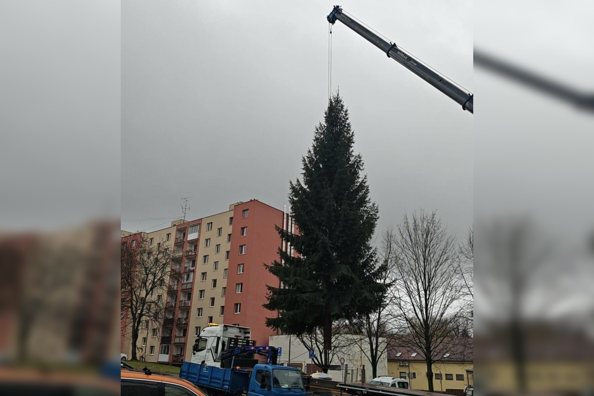 FOTO: Mierové námestie v Trenčíne už má nový 14-metrový vianočný strom, pribudol aj pri Rozkvete, foto 9