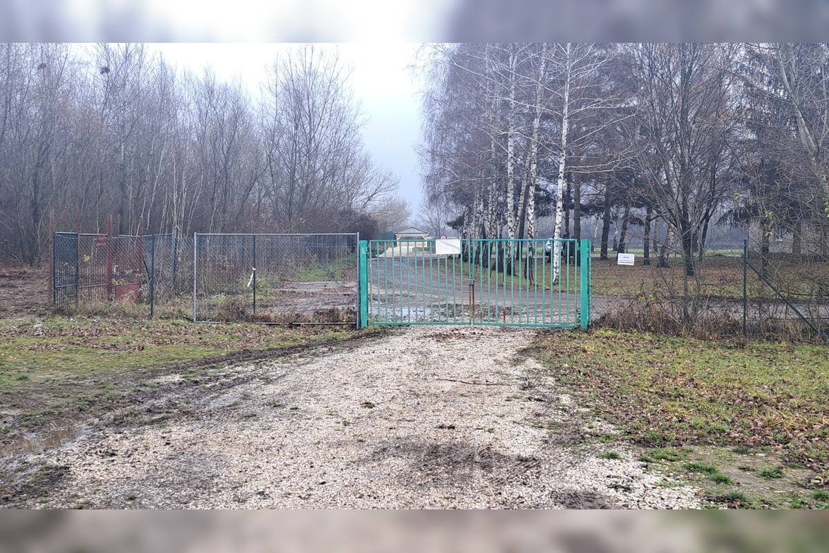 FOTO: Areál Zelenej vody pri Novom meste nad Váhom prechádza údržbou , foto 1