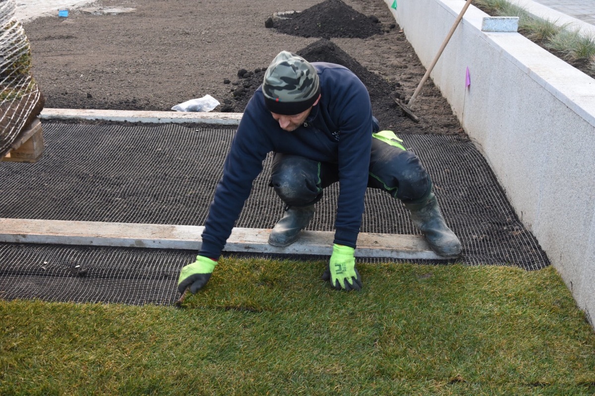FOTO: Pešia zóna v Trenčíne sa zazelenáva, foto 4