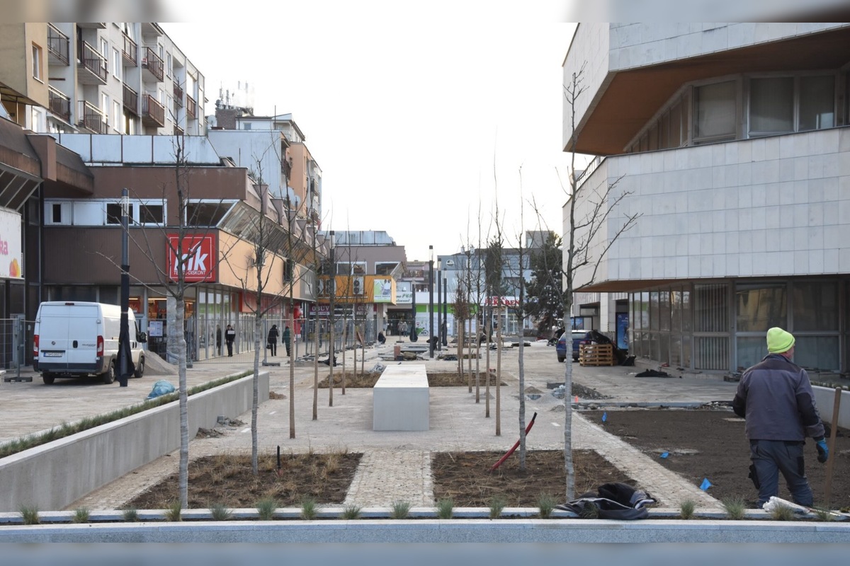 FOTO: Pešia zóna v Trenčíne sa zazelenáva, foto 6