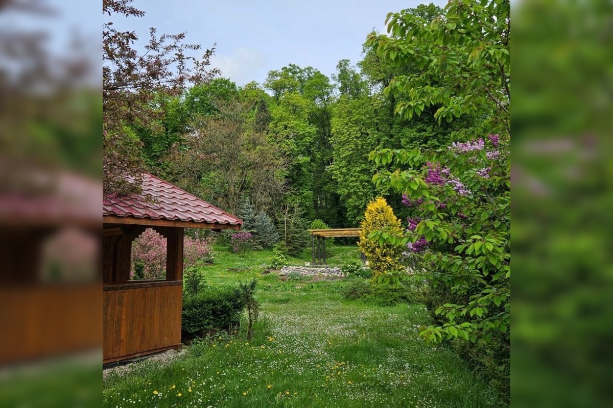 FOTO: Škola sa dostala do úzkeho výberu na prestížne ocenenie , foto 3