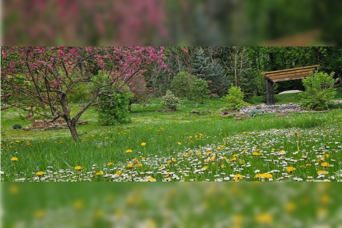 FOTO: Škola sa dostala do úzkeho výberu na prestížne ocenenie , foto 4