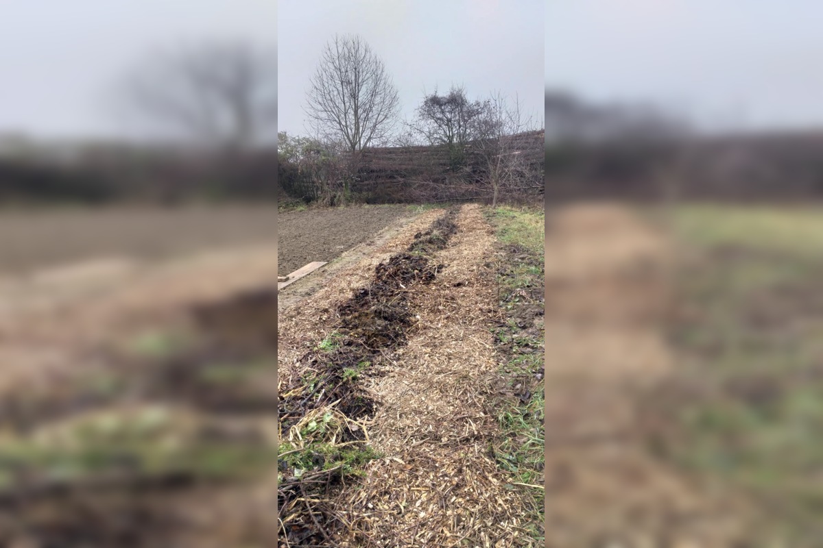 FOTO: Škola sa dostala do úzkeho výberu na prestížne ocenenie , foto 9