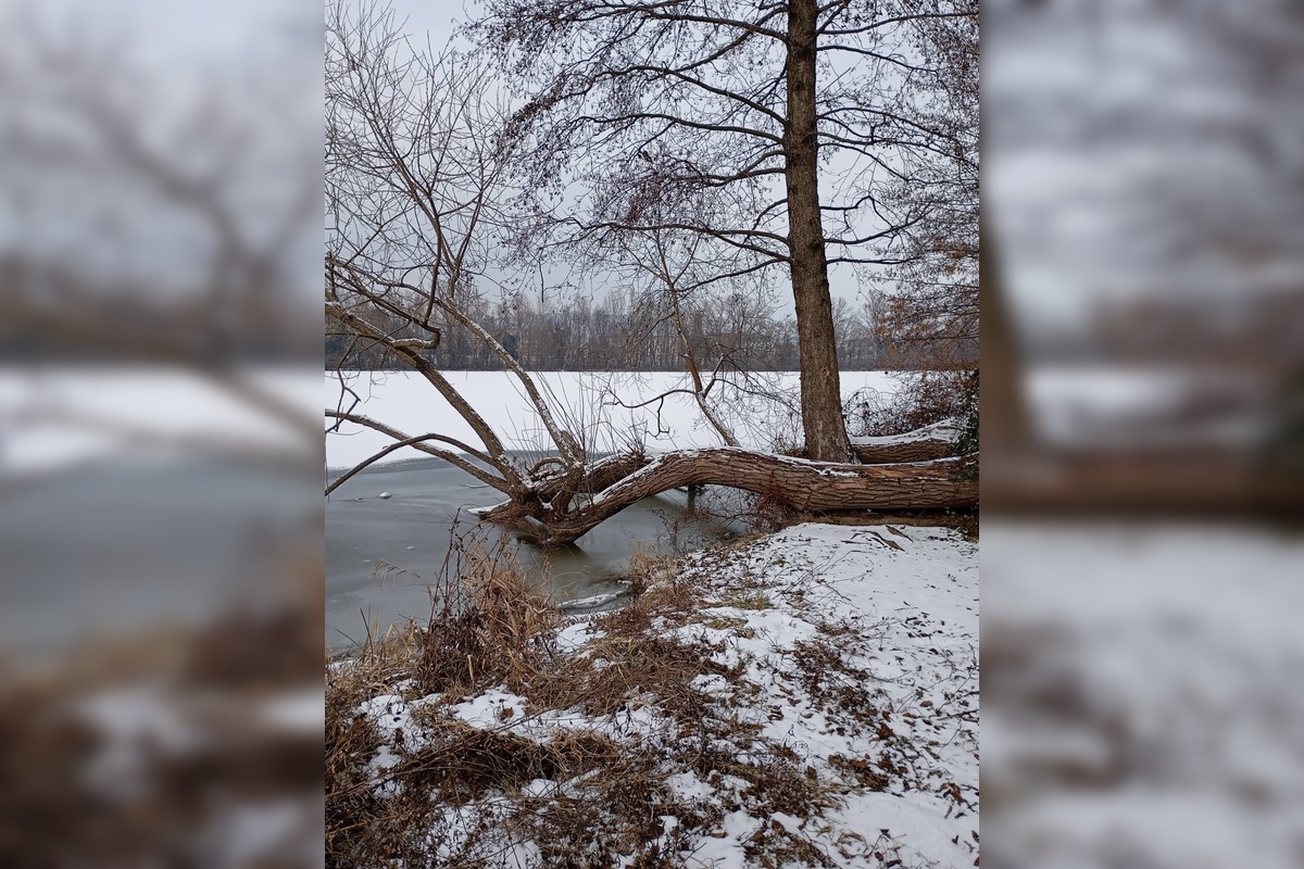 FOTO: Vzácny zimný úkaz v Trenčíne, Váh po dlhých rokoch opäť zamrzol, foto 5