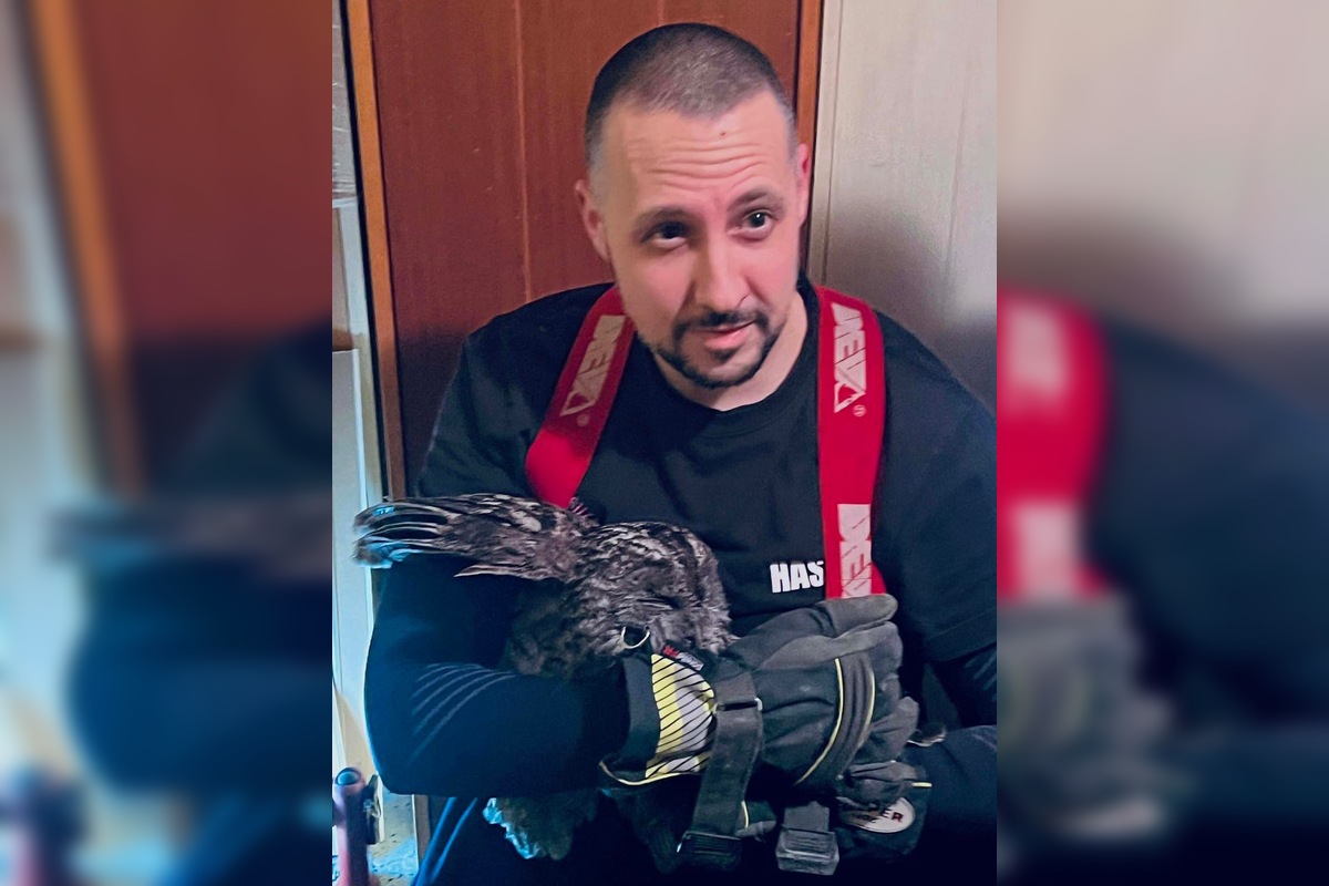 FOTO: Hasiči z Nitrianskeho Pravna zachránili sovu uviaznutú v komíne, foto 3