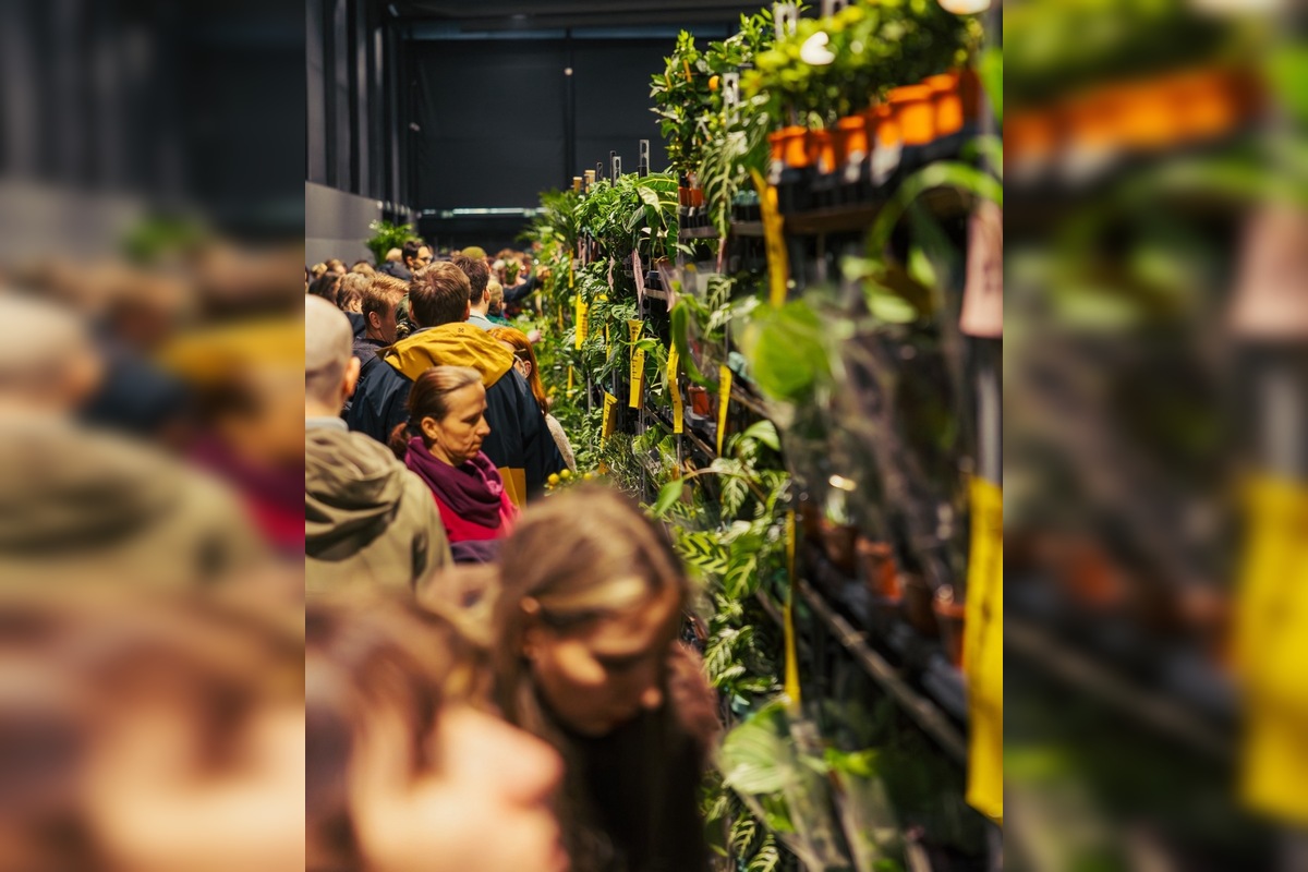 FOTO: Po veľkom úspechu sa do Trenčína vracia Festival rastlín, foto 2