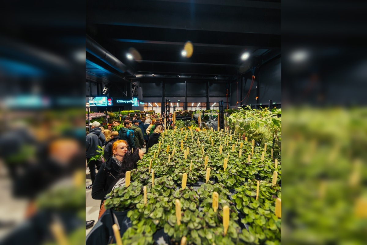 FOTO: Po veľkom úspechu sa do Trenčína vracia Festival rastlín, foto 6