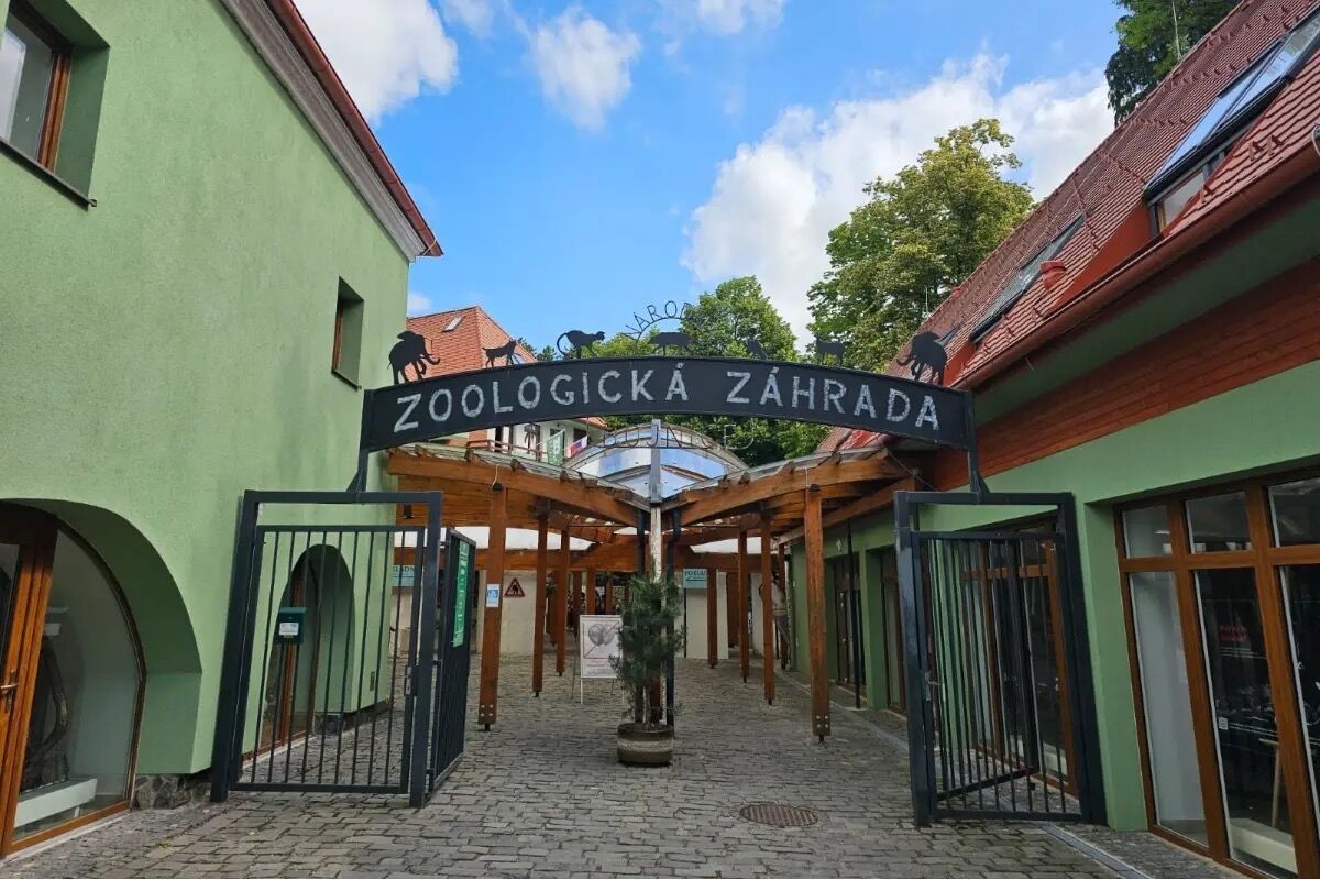 FOTO: ZOO Bojnice hľadá ošetrovateľa slonov, foto 8