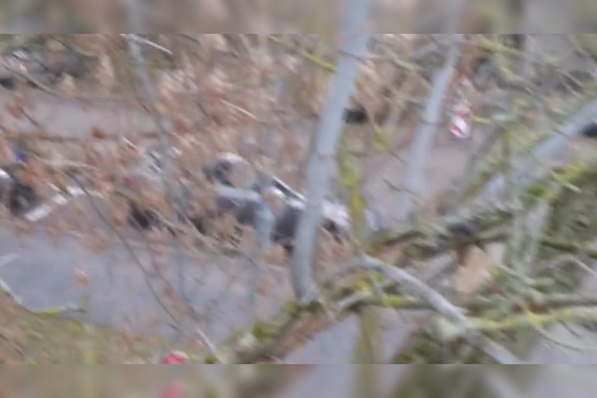 FOTO: V Prievidzi začali riešiť problém s invazívnou rastlinou , foto 2