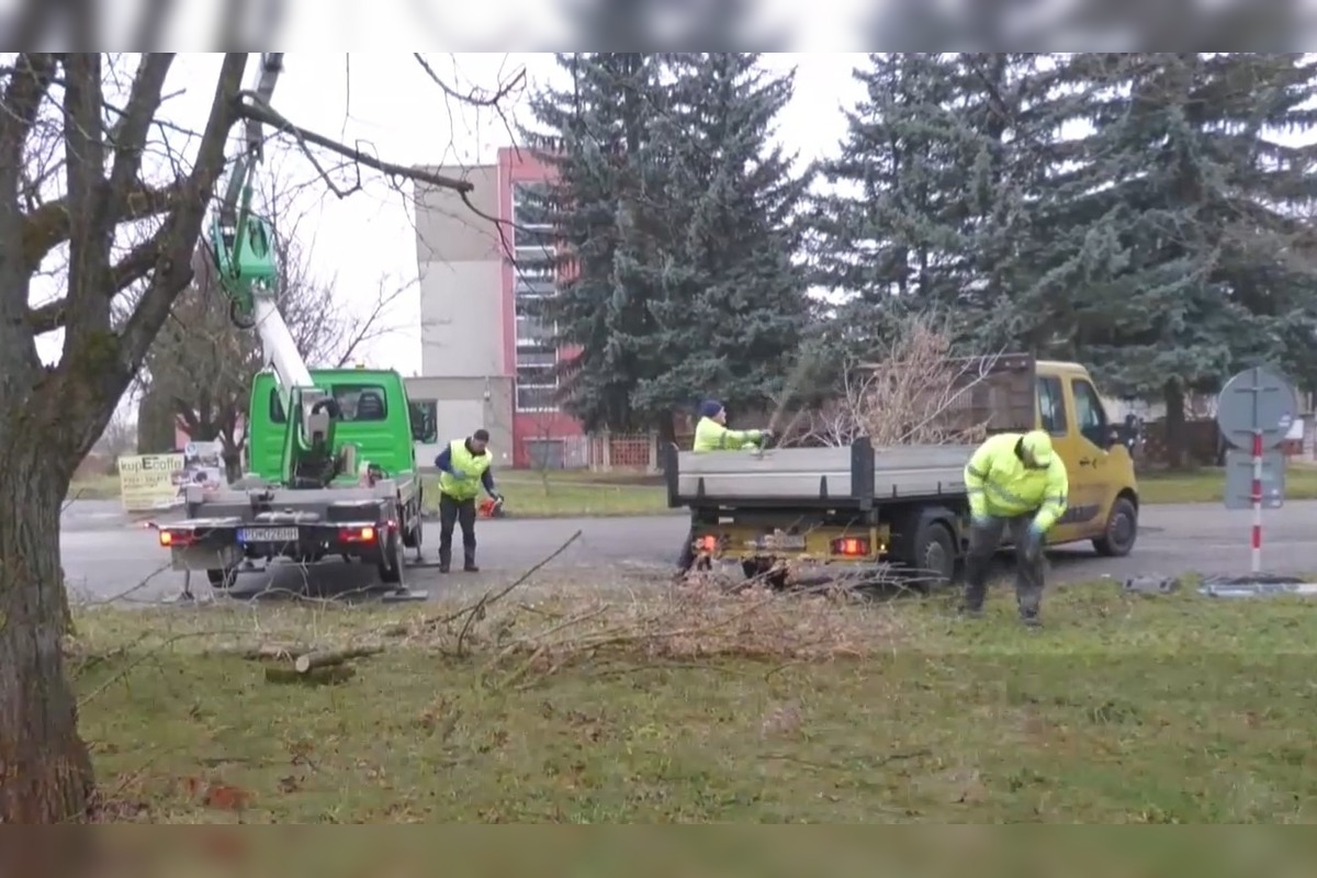 FOTO: V Prievidzi začali riešiť problém s invazívnou rastlinou , foto 5