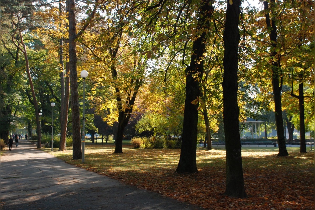 FOTO: Mládežnícke organizácie pripravujú v Trenčíne protest, foto 6