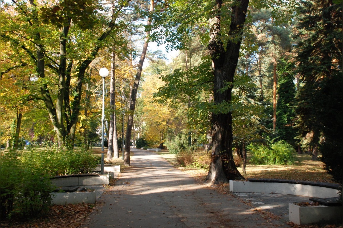 FOTO: Mládežnícke organizácie pripravujú v Trenčíne protest, foto 7