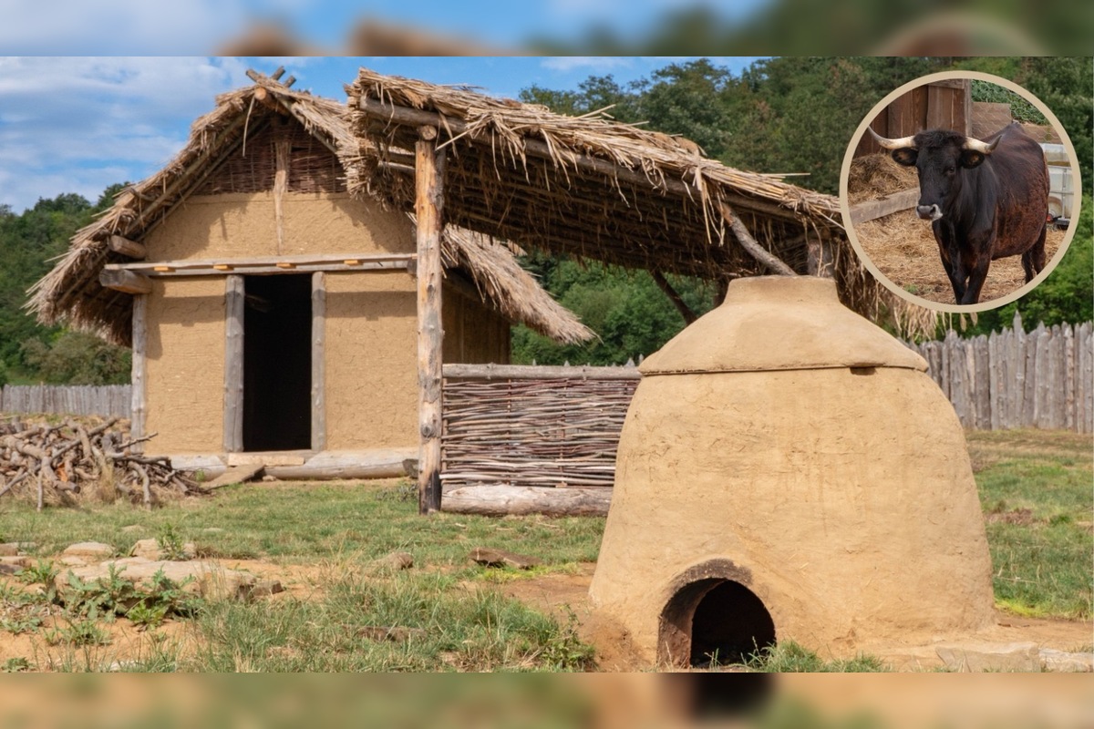 FOTO: V Bošácej otvoria nový archeopark, foto 8