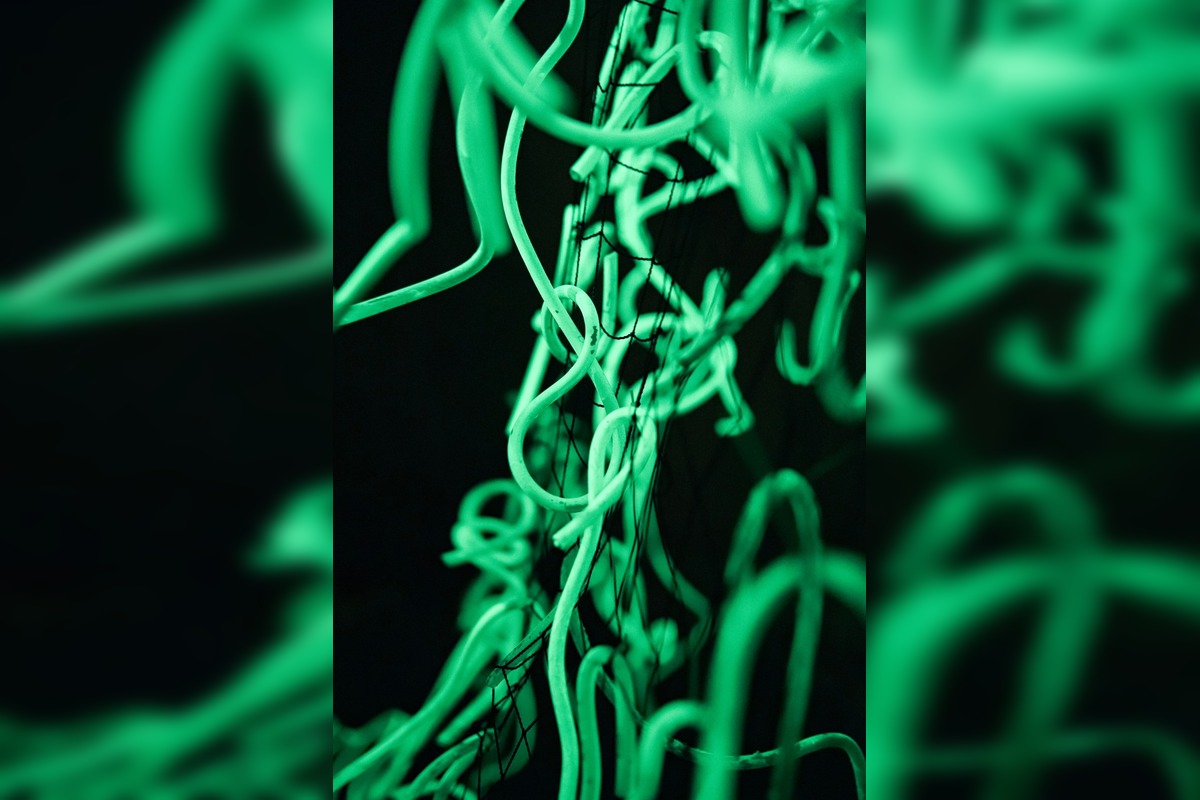 FOTO: Trenčín ako Európske hlavné mesto kultúry 2026 prilákal tisícky hostí, foto 20