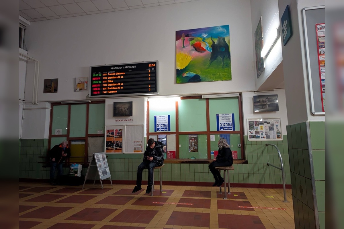 FOTO: Trenčianska železničná stanica sa zmenila na obrazáreň, foto 2