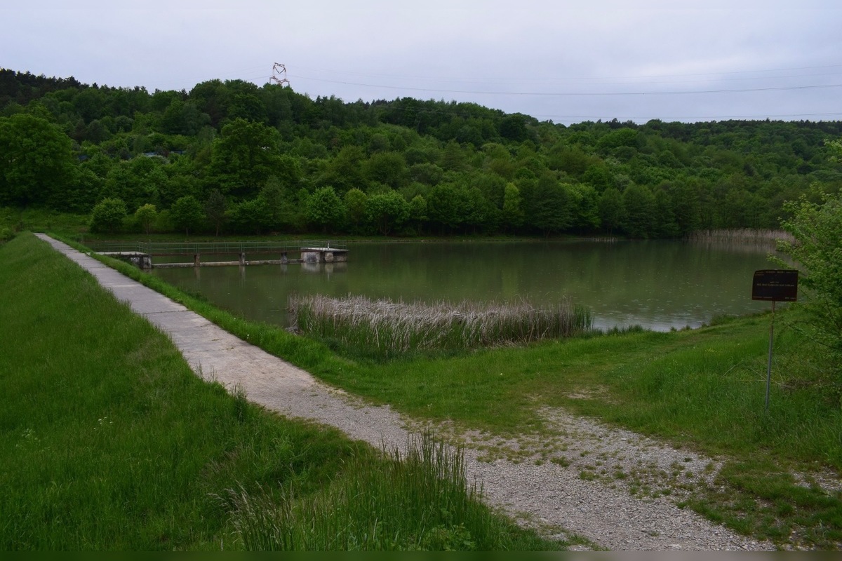 FOTO: V Bolešove predávajú časť priehrady, foto 2