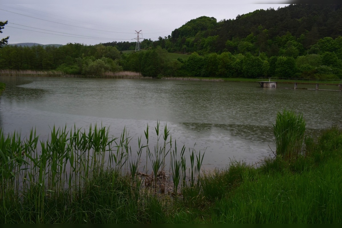 FOTO: V Bolešove predávajú časť priehrady, foto 4