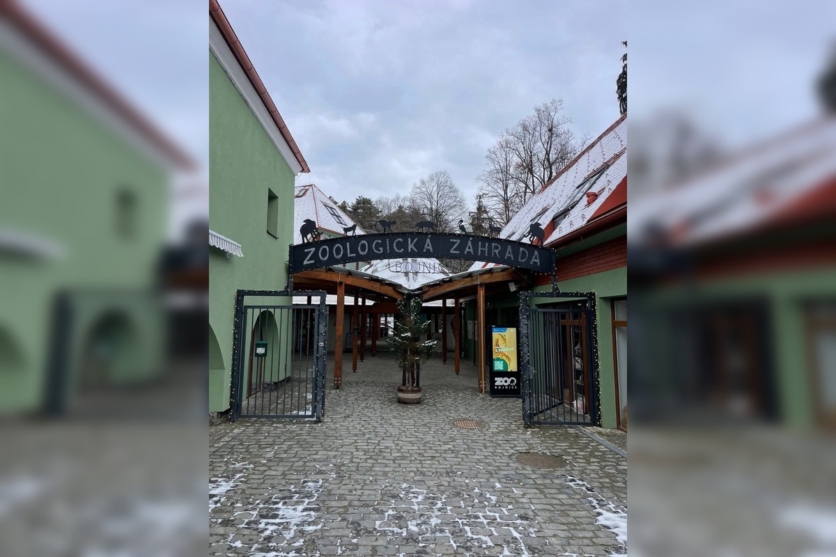 FOTO: Prievidzský obchodník milým gestom poďakoval za záchranu malých medvieďat, foto 9