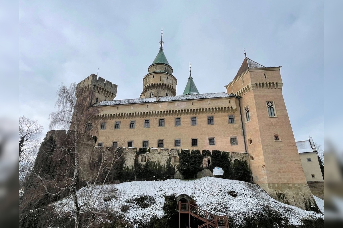 FOTO: Prievidzský obchodník milým gestom poďakoval za záchranu malých medvieďat, foto 11