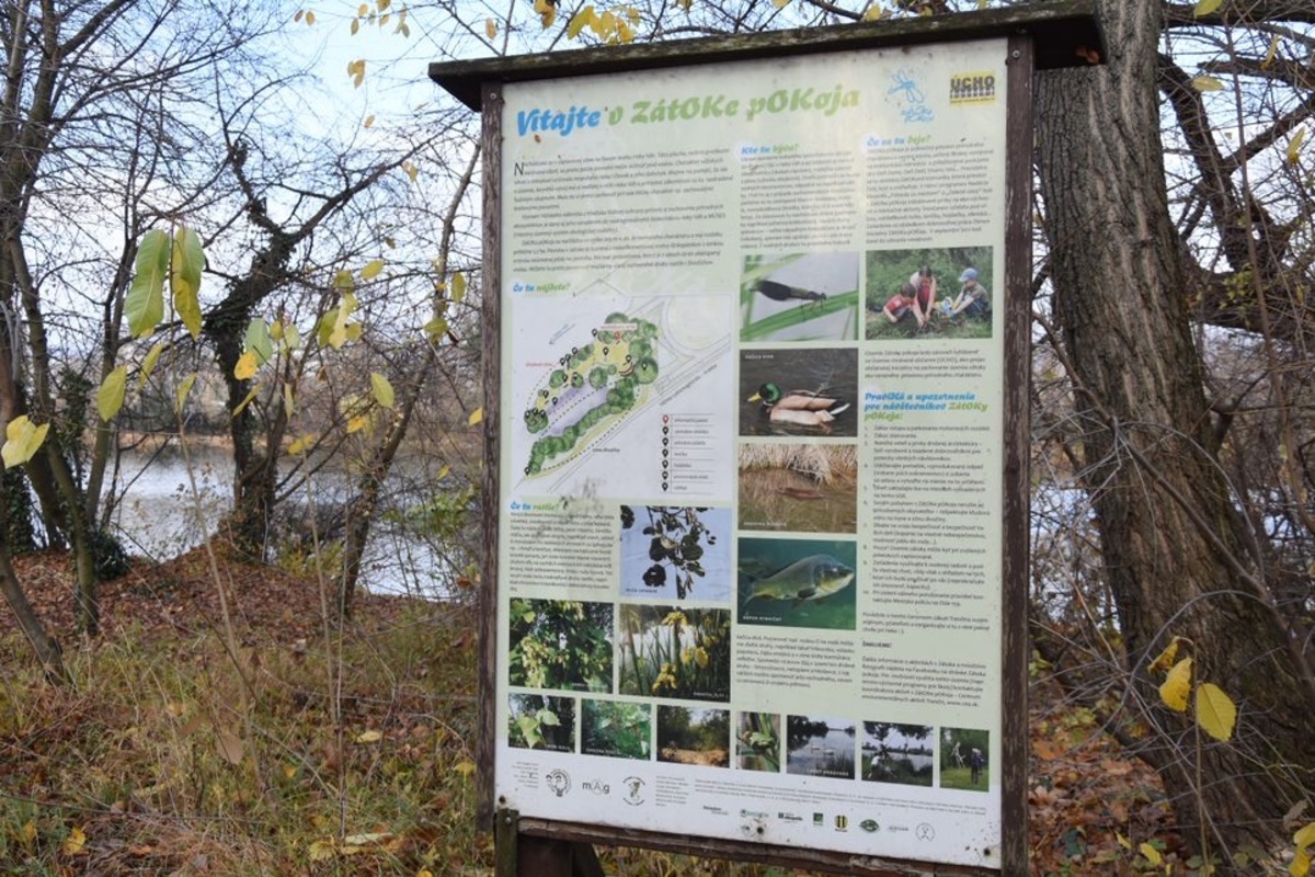 FOTO: Trenčiansky luh, foto 6