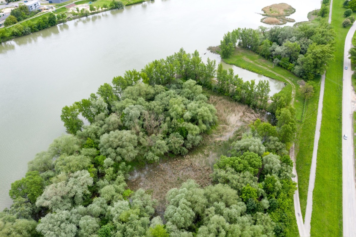 FOTO: Trenčiansky luh, foto 9