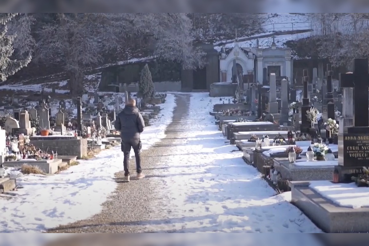 FOTO: Padnutý strom porušil náhrobný kameň na cintoríne v Trenčíne , foto 1