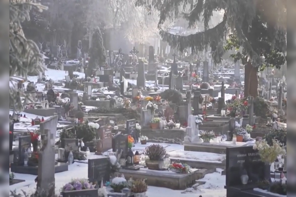 FOTO: Padnutý strom porušil náhrobný kameň na cintoríne v Trenčíne , foto 3