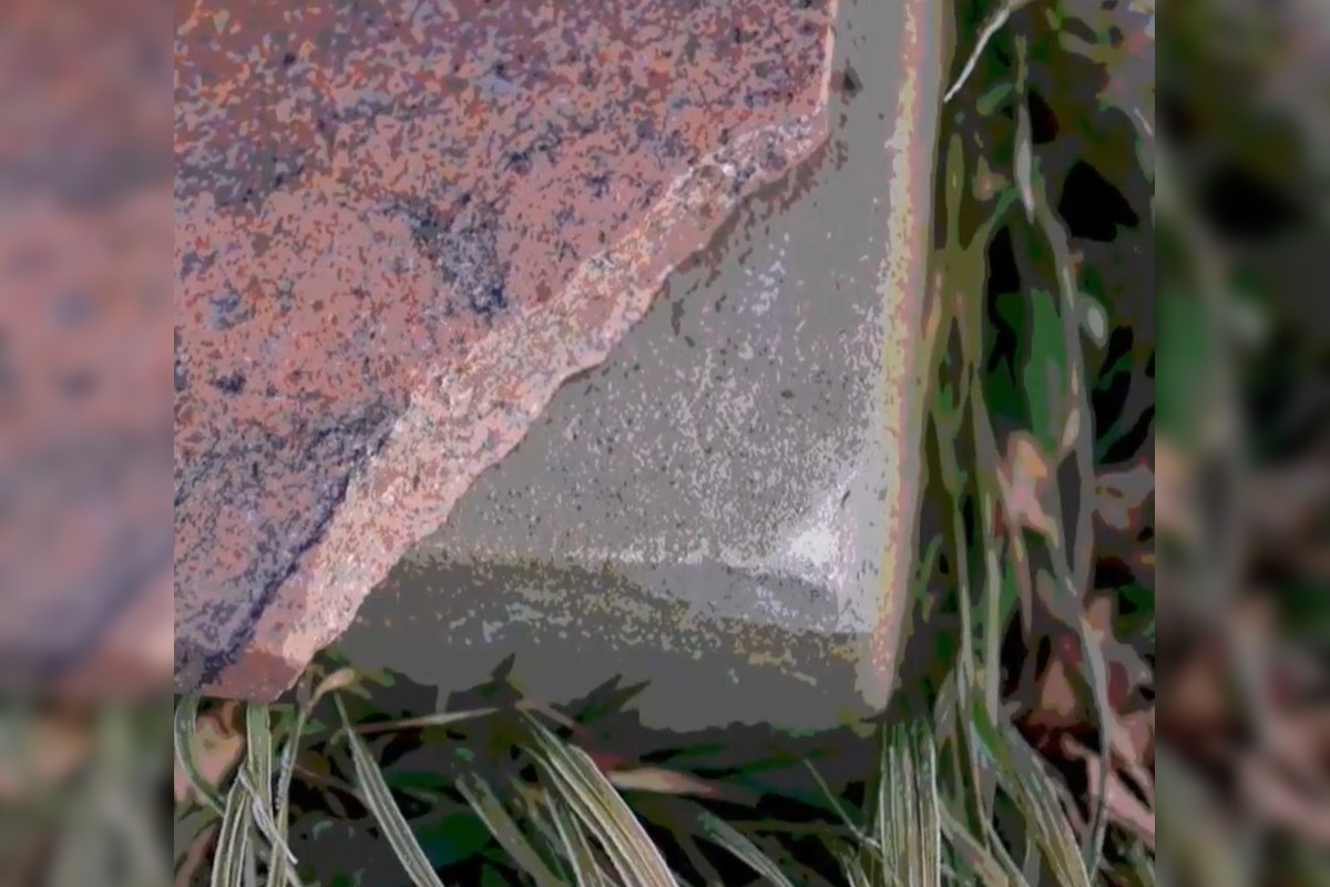 FOTO: Padnutý strom porušil náhrobný kameň na cintoríne v Trenčíne , foto 6